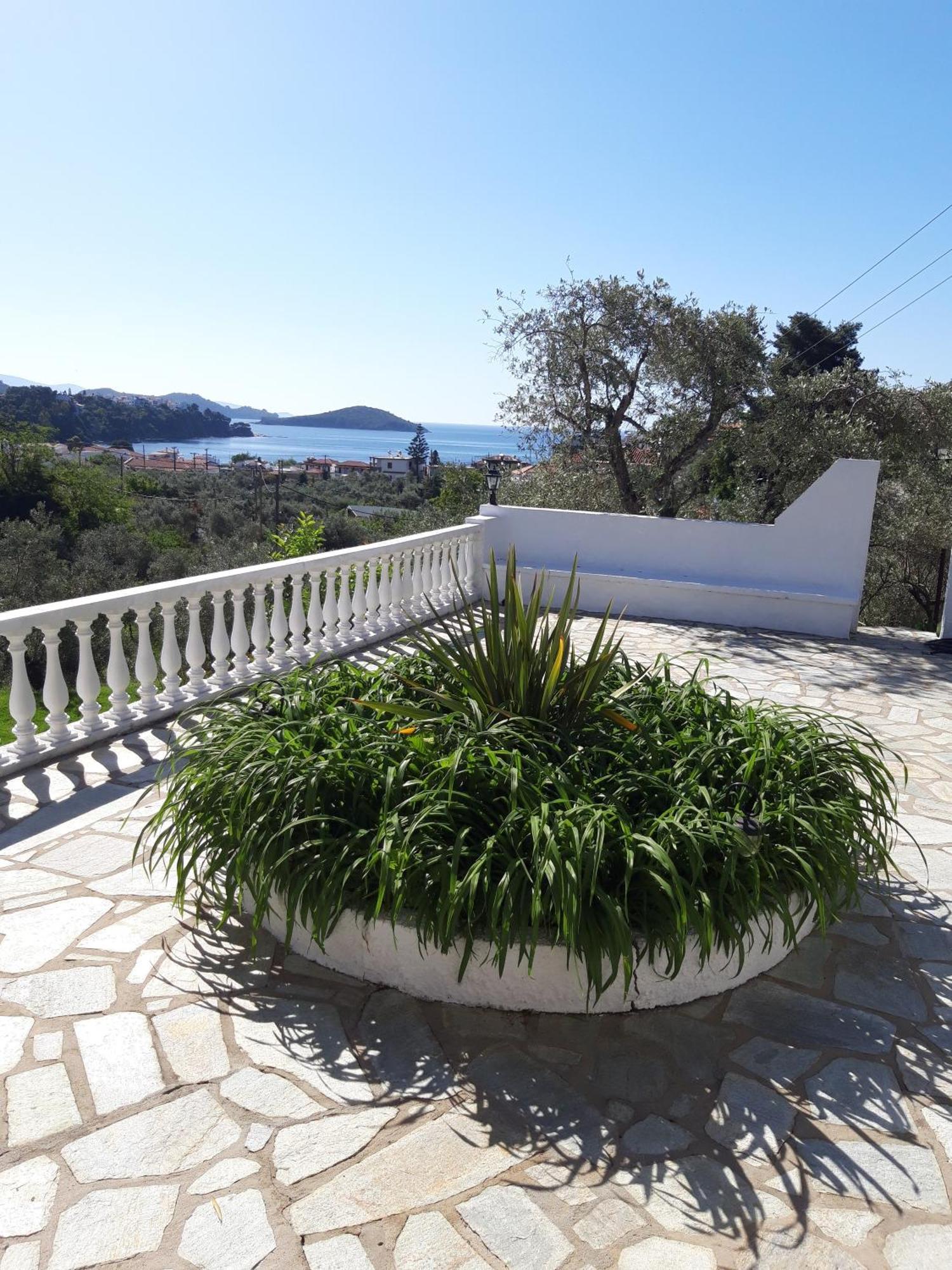 Olive Grove View Appartement